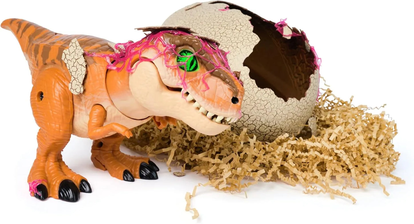 Raptor-Rex Hatch - Unleash Epic Dino Discovery! +  50% OFF
