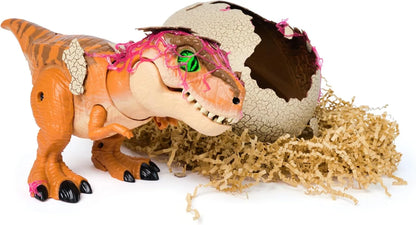 Raptor-Rex Hatch - Unleash Epic Dino Discovery! +  50% OFF