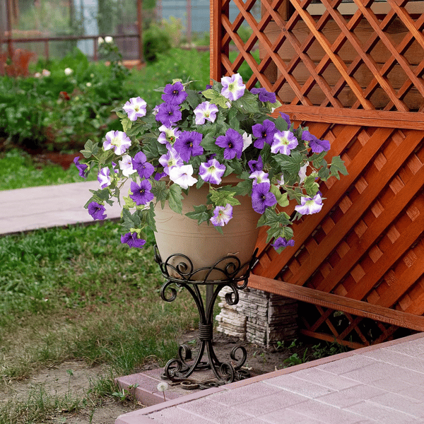 EverBloom Petunias - A Perfect Garden, Effortlessly - 50% OFF