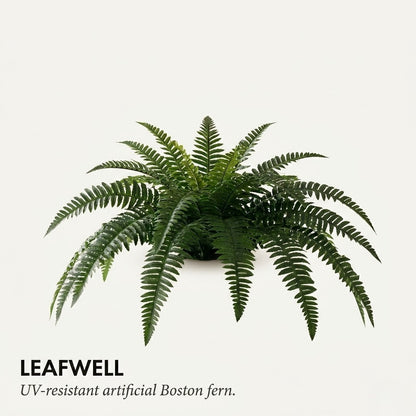 Forever Fresh Fern – Lush Greenery That Lasts Forever - 60% OFF
