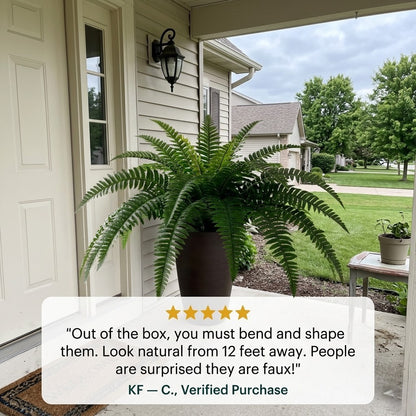 Forever Fresh Fern – Lush Greenery That Lasts Forever - 60% OFF
