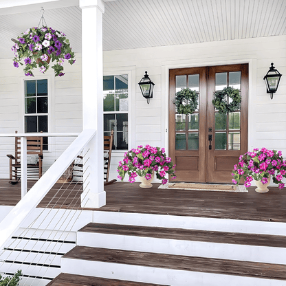 EverBloom Petunias - A Perfect Garden, Effortlessly - 50% OFF