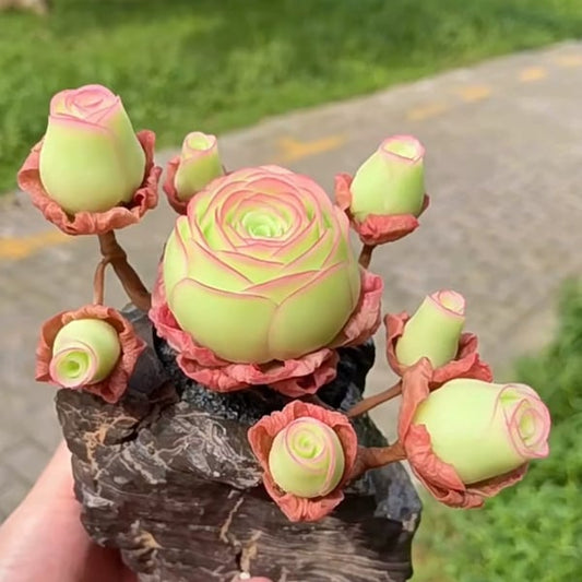 The Everose Succulent - The Rose That Never Dies - 50% OFF
