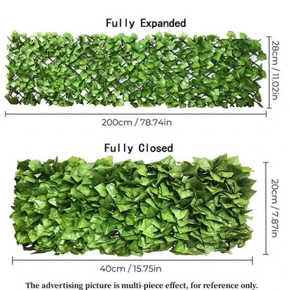 The EverShield Privacy Fence - Your Instant Green Retreat + 50% OFF