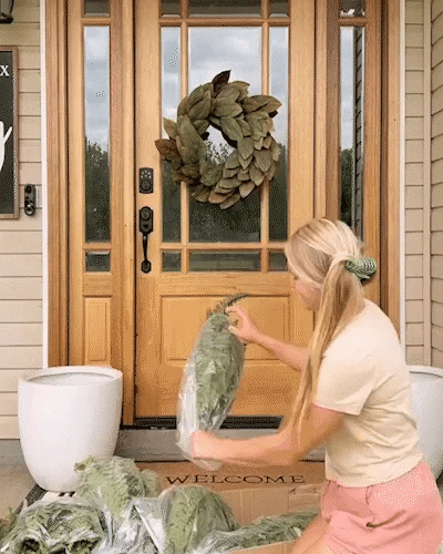 Forever Fern - Bring nature home without the maintenance. 50% OFF