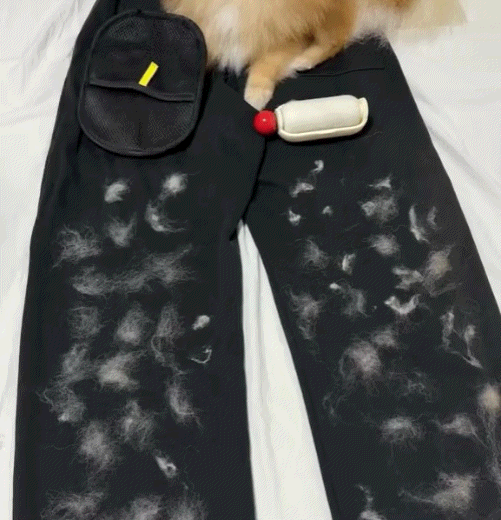 PAWZIOO - STOP THE SHEDDING MESS. + 1+1 FREE