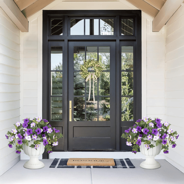 EverBloom Petunias - A Perfect Garden, Effortlessly - 50% OFF