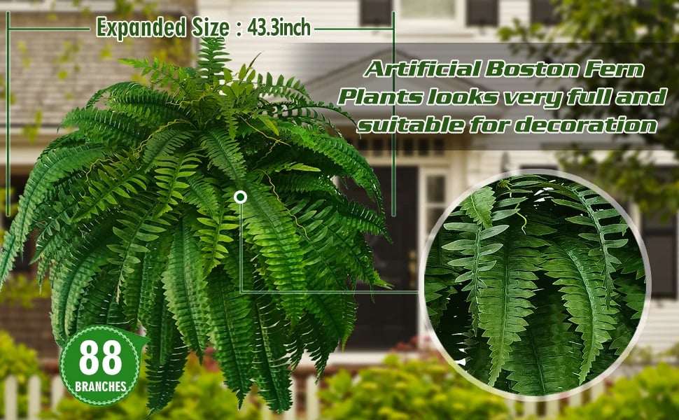 Forever Fresh Fern – Lush Greenery That Lasts Forever - 60% OFF