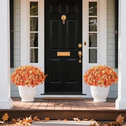 EverBrite Sunset Mums - A Perfect Fall Porch, Guaranteed - BUY 2 GET 2 FREE