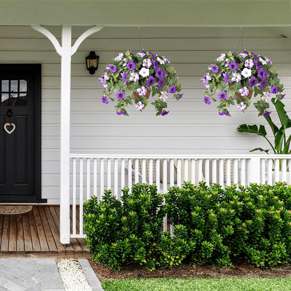 EverBloom Petunias - A Perfect Garden, Effortlessly - 50% OFF