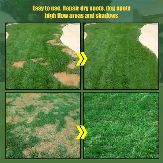 EverLawn Seed - A Perfect Lawn, With Less Work - 50% OFF