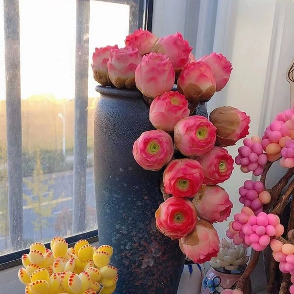 The Everose Succulent - The Rose That Never Dies - 50% OFF