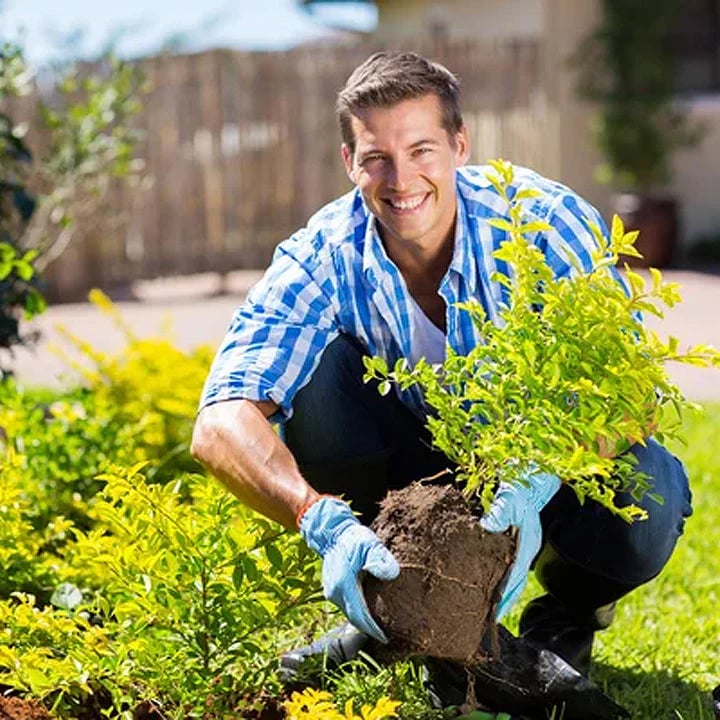 Loamcroft™ – Organic Soil Activator for Healthier Roots & Vibrant Plant Growth + 50% OFF