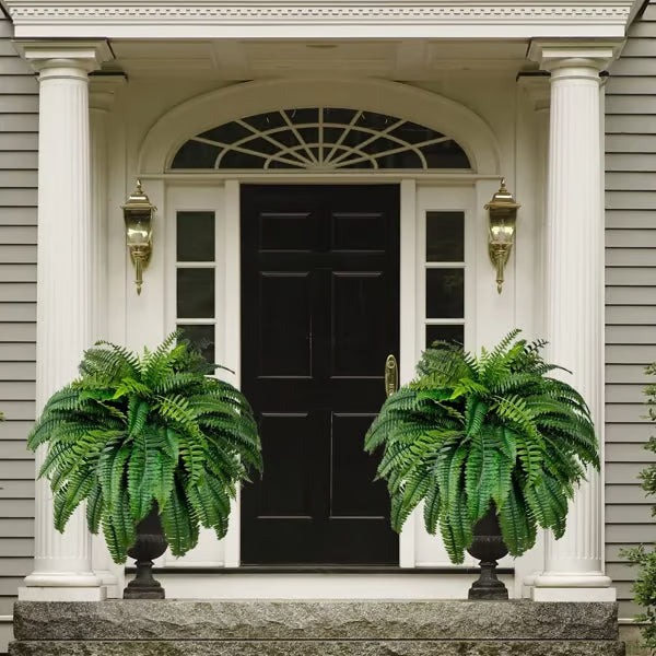 Forever Fern - Bring nature home without the maintenance. 50% OFF