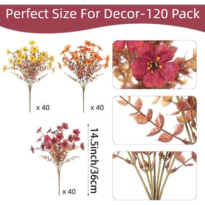 EverBrite Sunset Mums - A Perfect Fall Porch, Guaranteed - BUY 2 GET 2 FREE