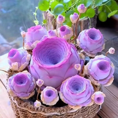 The Everose Succulent - The Rose That Never Dies - 50% OFF