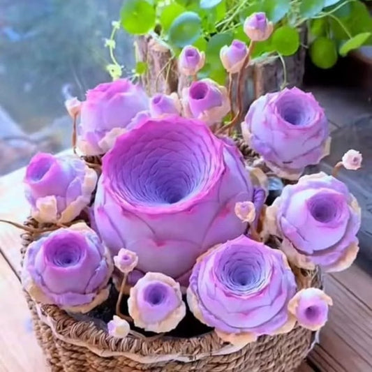 The Everose Succulent - The Rose That Never Dies - 50% OFF