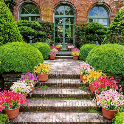 EverLush Botanicals - A Perfect Garden Instantly. - 1+1 FREE
