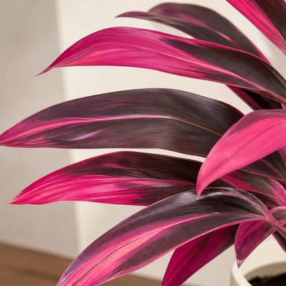 Briar & Bloom™ – Vibrant Pink & Purple Faux Boston Fern Plants + 50% OFF
