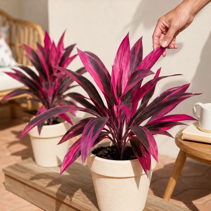 Briar & Bloom™ – Vibrant Pink & Purple Faux Boston Fern Plants + 50% OFF