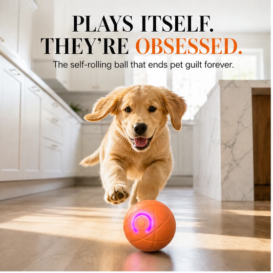 Frisk – Self-Moving Chase Ball for Small Dogs & Puppies, USB-C Rechargeable LED Pet Toy + 50% OFF