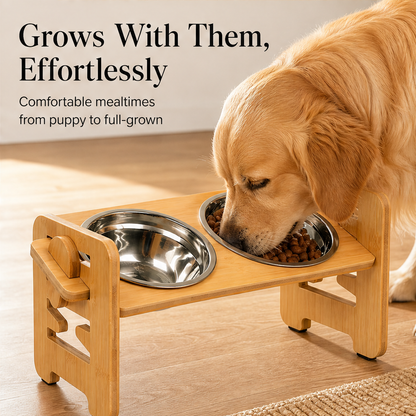 Elevora – Adjustable Height Bamboo Elevated Dog Feeder + 50% OFF features