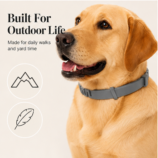 ShieldRidge – Adjustable Weatherproof Flea & Tick Collar for Dogs & Cats features