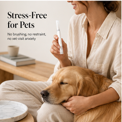 Muttlee – 60-Second Gel Tartar Remover Pen for Dogs & Cats + 50% OFF