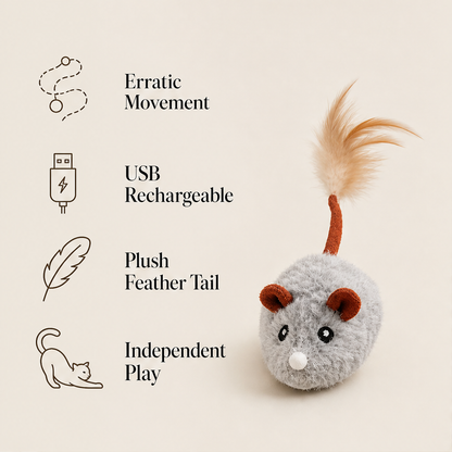 Whiskerdash – Auto-Roaming Sensor Mouse Interactive Cat Toy + 50% OFF features