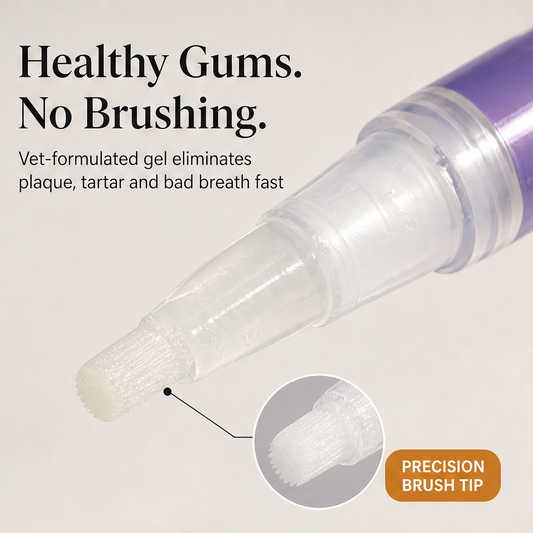 Cavora – No-Brush Tartar & Plaque Remover Pet Oral Repair Gel + 50% OFF features