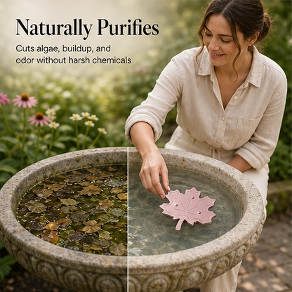 Copperfern – Pure Copper Maple Leaf Bird Bath Water Clarifier + 50% OFF