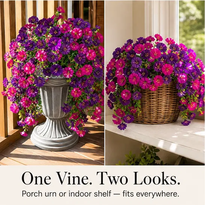Bowerly™ – UV-Resistant Lifelike Hanging Morning Glory Vines for Outdoor Porch & Garden Decor + 50% OFF