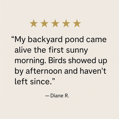Wrenbrook – Anti-Drift Solar Fountain Pump for Birdbaths & Ponds + 50% OFF
