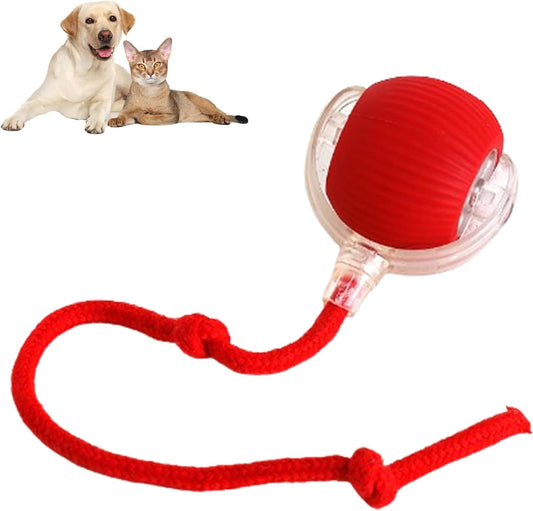Smart Interactive Pet Toy Ball – Unleash Joyful Play Anytime - 50% OFF