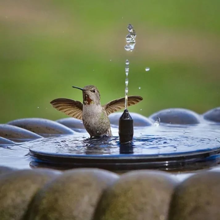 The AuraFlow Solar Fountain — Instant Garden Vitality + 50% OFF
